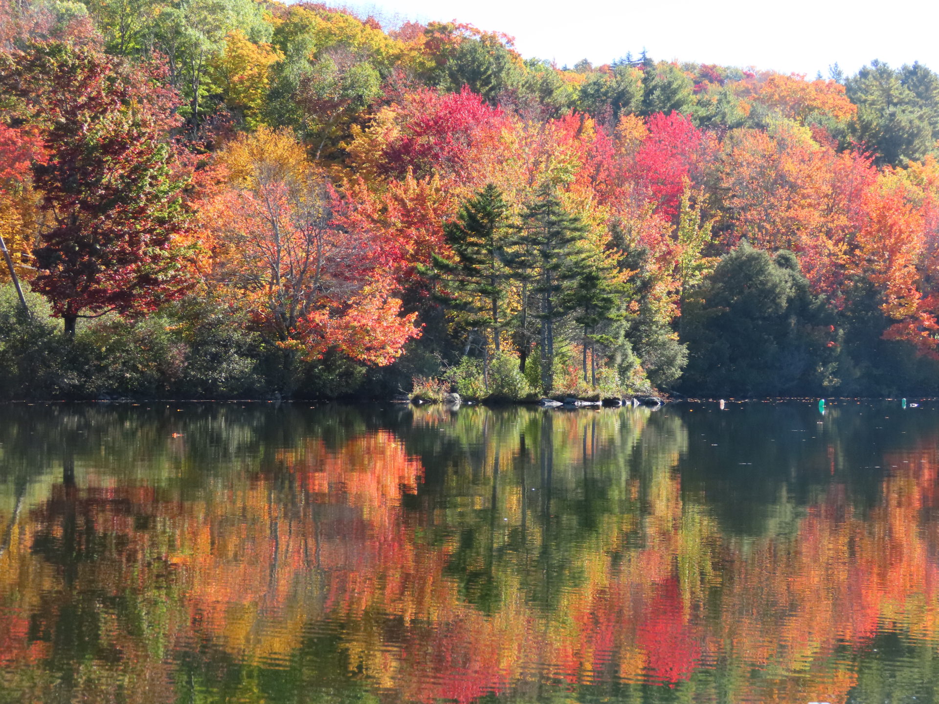 Lake Life in Southern Vermont - SVDV Chamber of Commerce