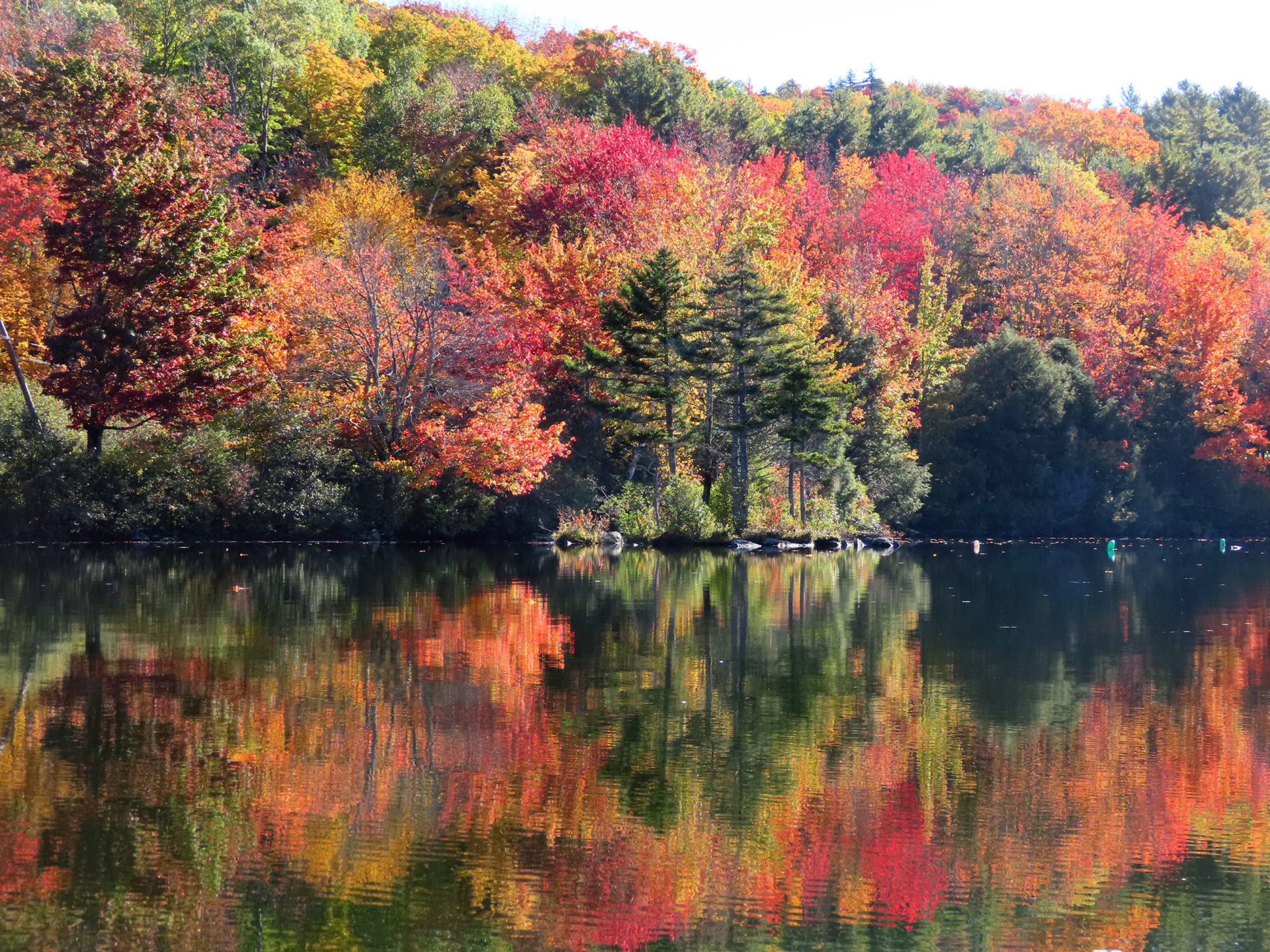 Southern Vermont Deerfield Valley | Visit Vermont