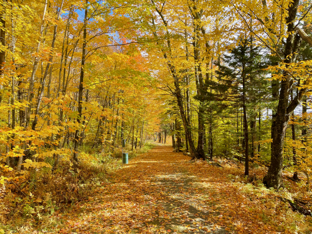 White Rocks Cliffs Trail - SVDV Chamber of Commerce